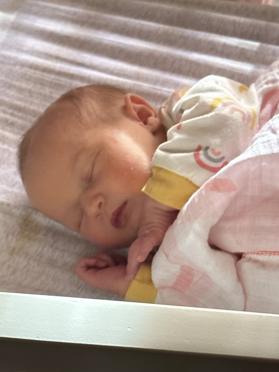 Melissa Felsenthal (she/her) tweet media