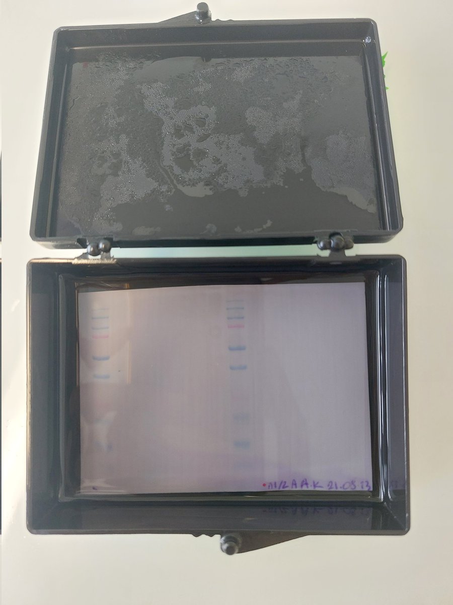 Dre. Juliette 🧬 tweet media