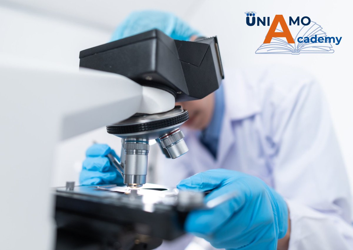 uniamomalattierare tweet media