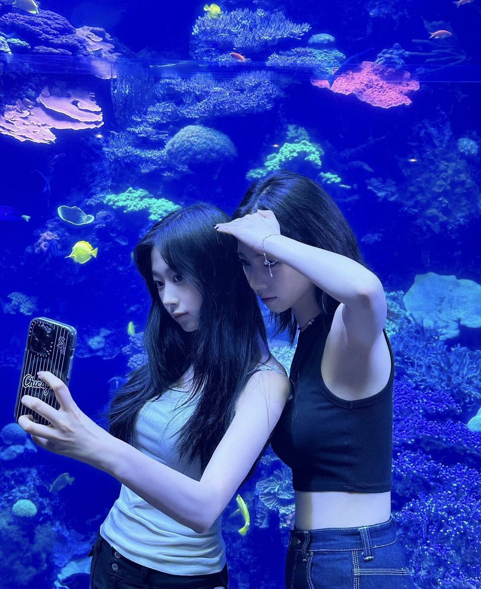 karinaspics's tweet photo. aquarium date with gigi 🖤 https://t.co/xyShyf4XV5