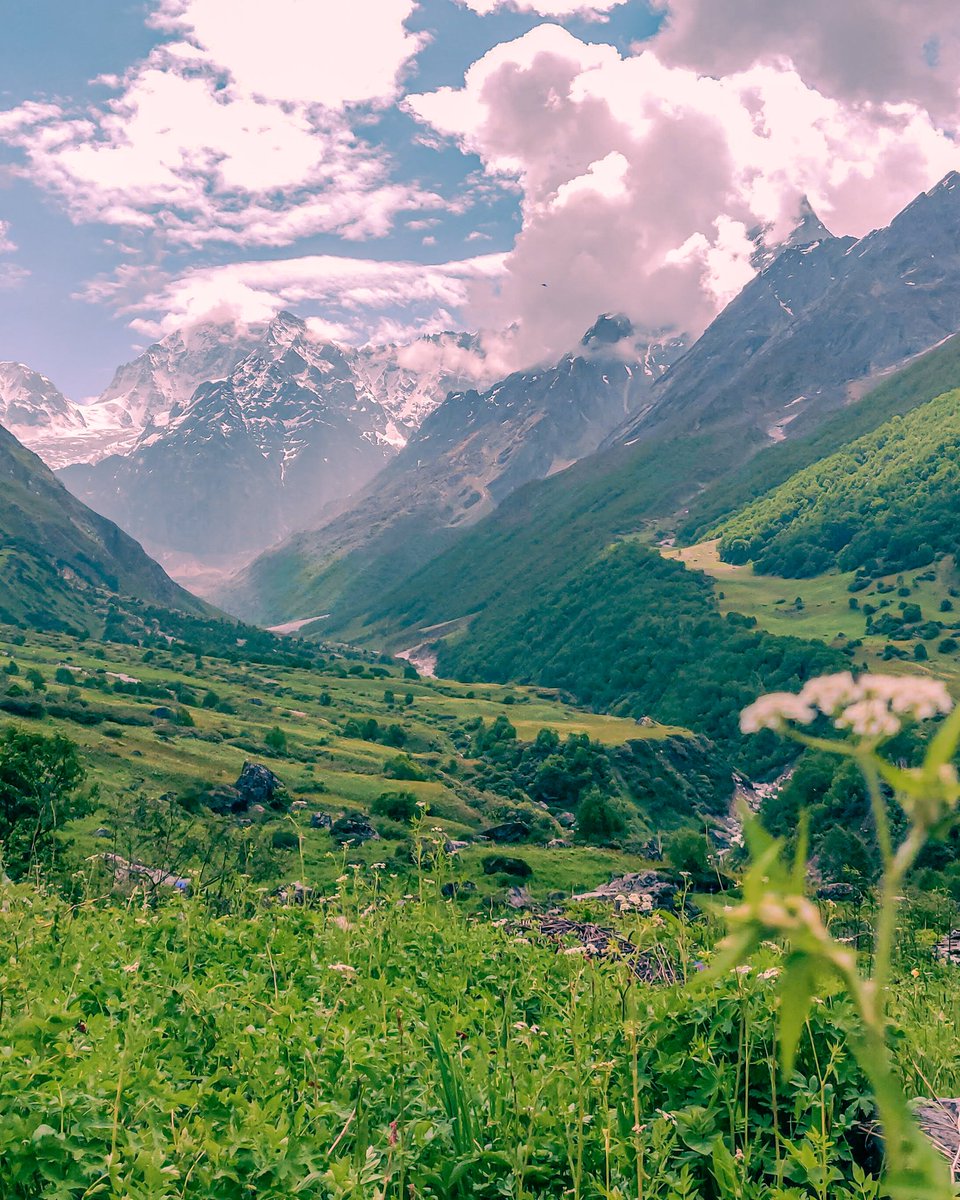 Mountains are my happy place.
#mountains #lightroom #valleyofflowers