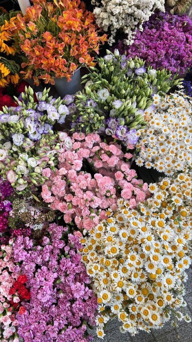 KarukinkaAcc's tweet photo. Feliz septiembre! Mirá lo nuevo de la temporada! #aritos #accesorios #karukinkaaccesorios #bijou #moda #tendencia https://t.co/6OYECwhd1o
