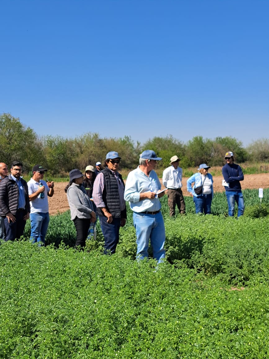 intaCIAP's tweet photo. 📌Se realizó con gran éxito la jornada Técnica en producción de #Garbanzos en el #IIACS.  
En el norte Argentino es donde se agrupa principalmente la mayor producción de garbanzos del pais. 
#CIAP #IIACS https://t.co/eaon9ghHFo