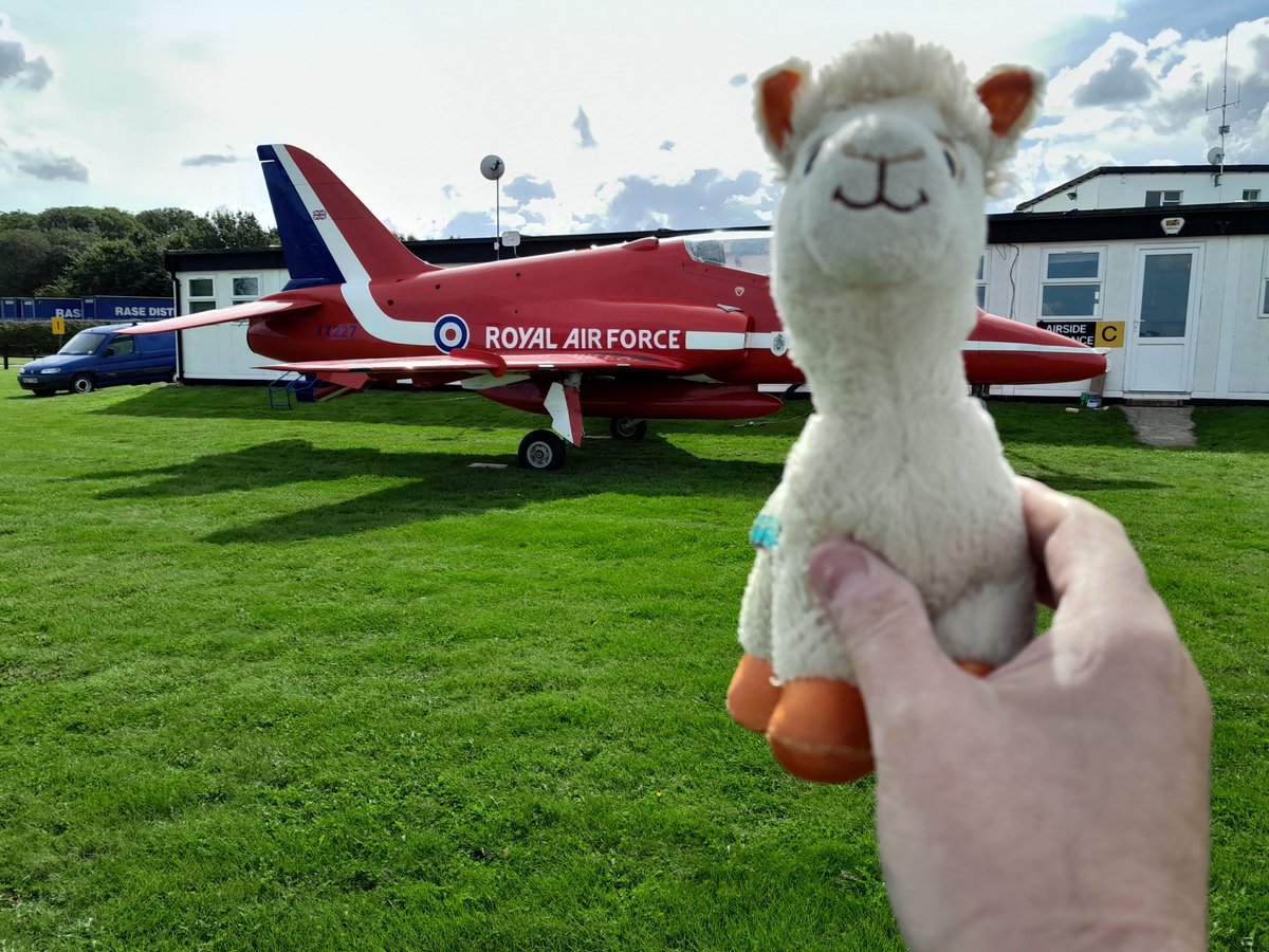 JasonRWilkinson's tweet photo. @TedConingsby Ted, Nikos and Claire I wanted to share this with you as BD (Buttercup Daisy) our little Alpaca wants to join the @rafredarrows ! Taken yesterday at Wickenby @wickenbycafe 😀 Great to be able to park up next to the Hawk! https://t.co/fAYfgSmusy