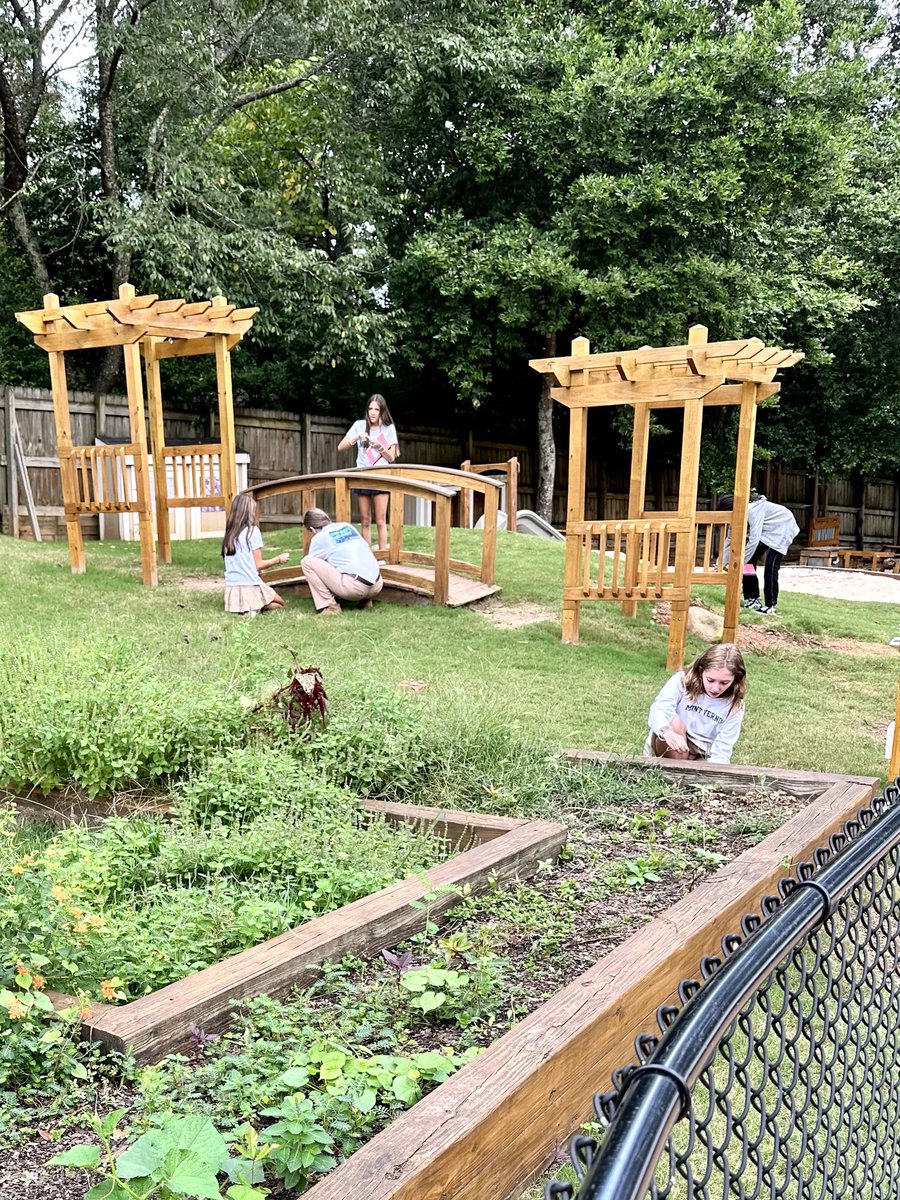 klundstromatmv's tweet photo. I spy with my little 👁️ #MVMiddle math students measuring and planning a #tinydoor surprise for our #MVLittles - #growandgive #maththatmatters #TheMVSchool #crosscampus https://t.co/GdEL1ku80N
