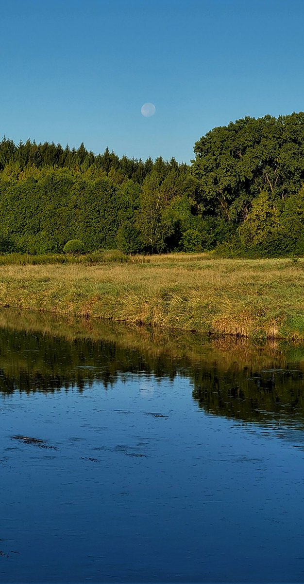Moon-set over the #MilwaukeeRiver this morning 🌙 
#VillageofNewburg near <a href="/WestBend/">City of West Bend</a> 
@LindseySlaterTV <a href="/Mark_Baden/">Mark Baden</a> <a href="/Daji_aswad_wx/">Daji Aswad</a> <a href="/InnovativeWx/">Innovative Weather</a> <a href="/BrookeBrighton/">Brooke Brighton</a> <a href="/Rob_Haswell/">Rob Haswell</a> <a href="/Tom_Wachs/">Tom Wachs</a>