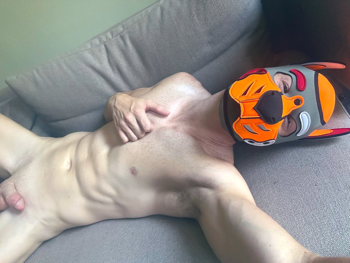 SubpupKylo's tweet photo. Snugs and tugs? https://t.co/WGLLkmBl8X