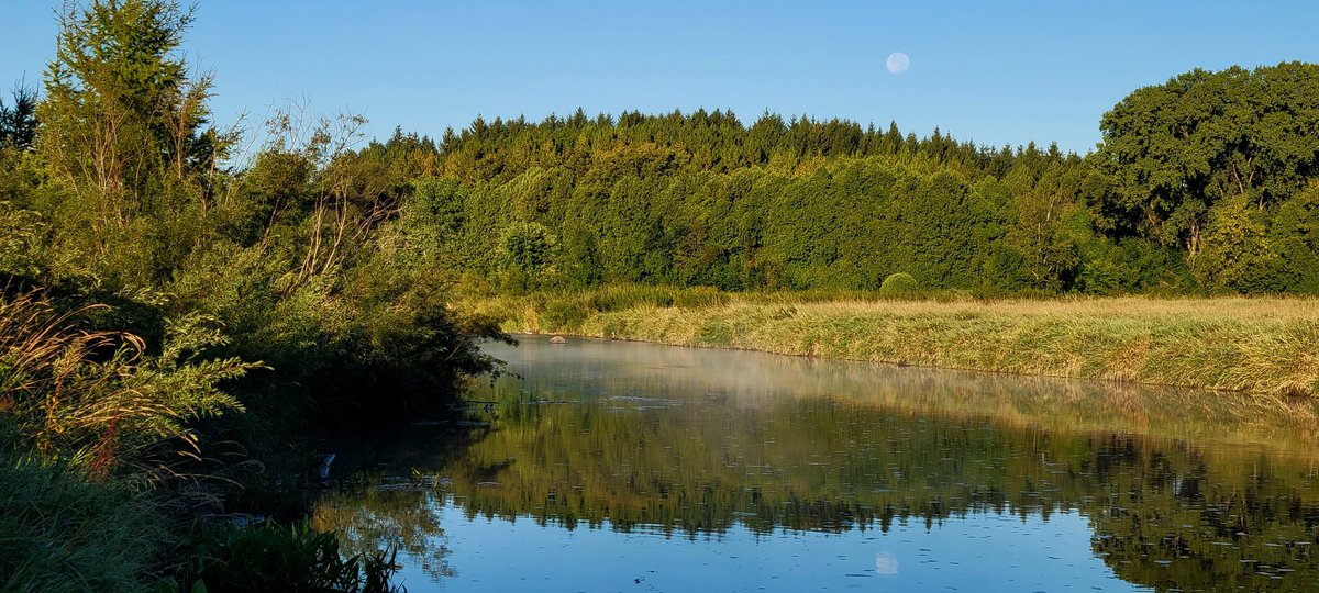 Moon-set over the #MilwaukeeRiver this morning 🌙 
#VillageofNewburg near <a href="/WestBend/">City of West Bend</a> 
@LindseySlaterTV <a href="/Mark_Baden/">Mark Baden</a> <a href="/Daji_aswad_wx/">Daji Aswad</a> <a href="/InnovativeWx/">Innovative Weather</a> <a href="/BrookeBrighton/">Brooke Brighton</a> <a href="/Rob_Haswell/">Rob Haswell</a> <a href="/Tom_Wachs/">Tom Wachs</a>