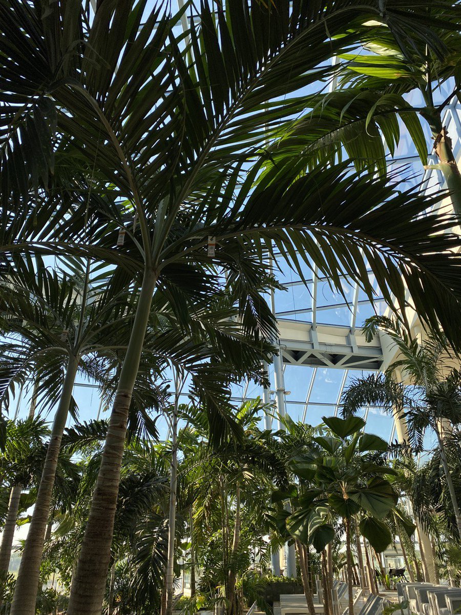 crypto_milania's tweet image. moje miejsce mocy😍
📍Suntago
#Warsaw #Poland #reststop #Restart