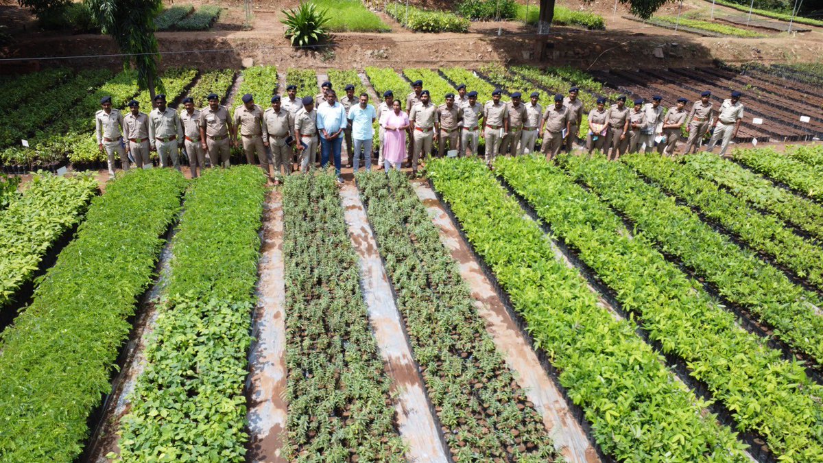 dcf_mahisagar's tweet photo. Capacity building training was organized for nursery staff personnels of all ranges under Mahisagar forest division at Zamzar nursery, Virpur. @forestwala @Mulubhai_Bera @GujForestDept @mahimahiti https://t.co/lgl5Ogmg2R