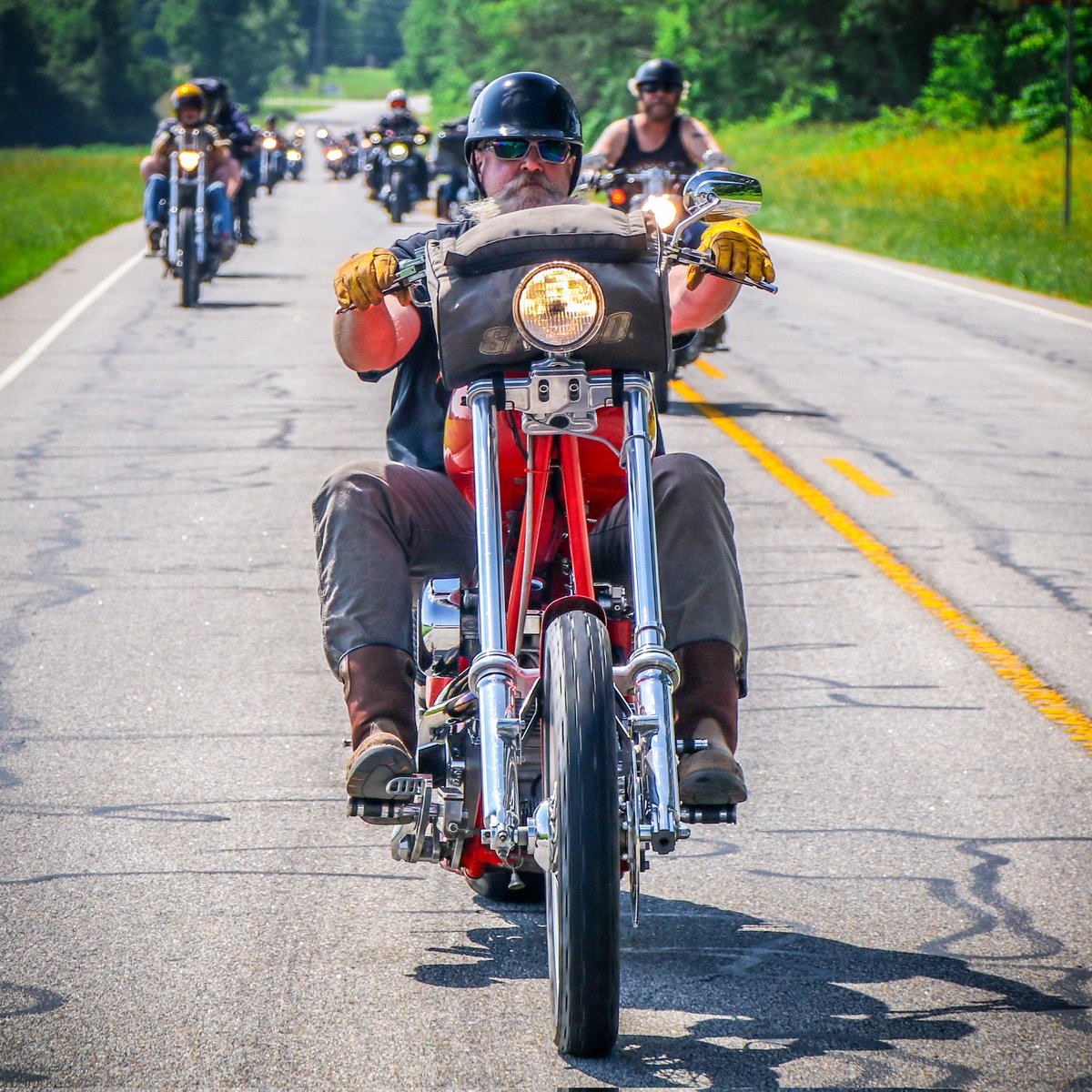 Hunting tar snakes in Eastern North Carolina...