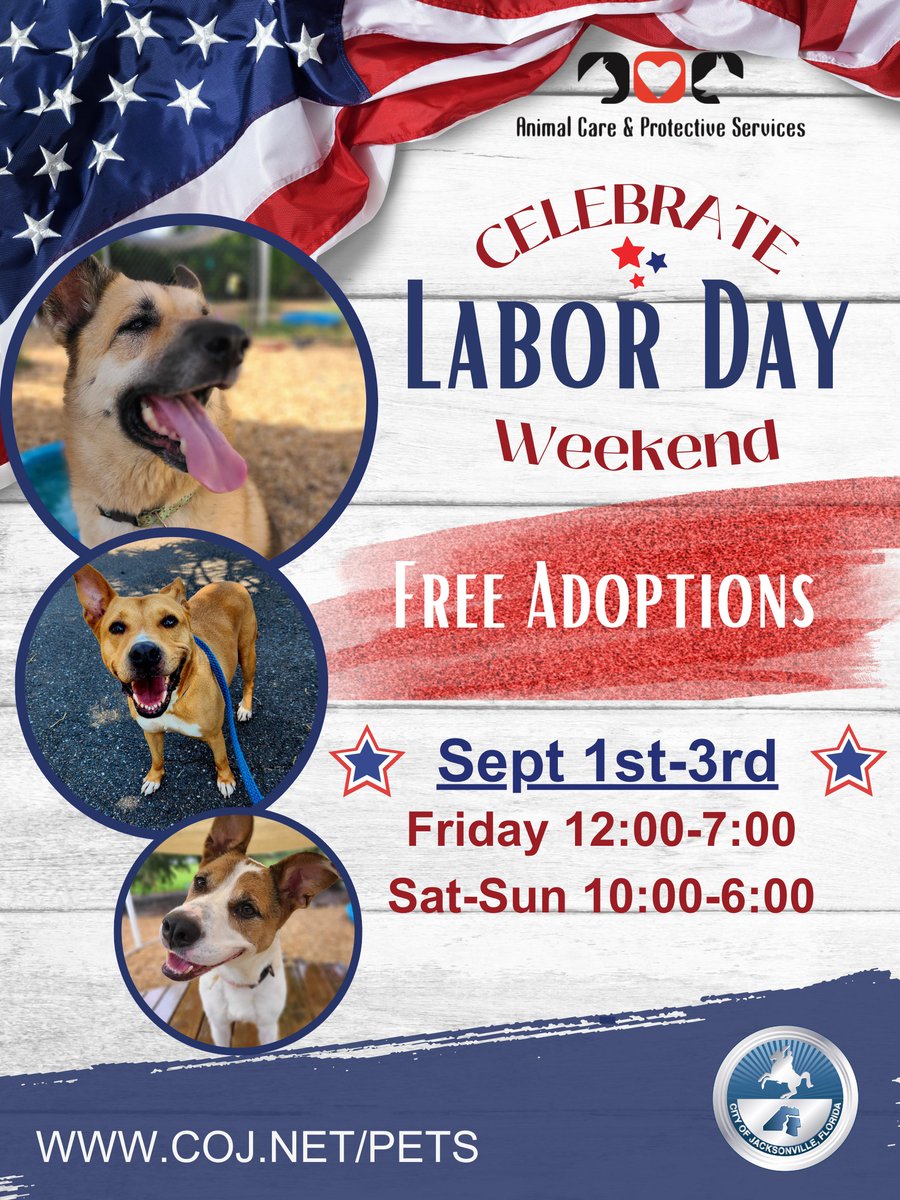 City of Jacksonville tweet media