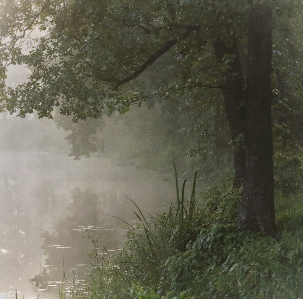 dew (@dew_droplets_) on Twitter photo 