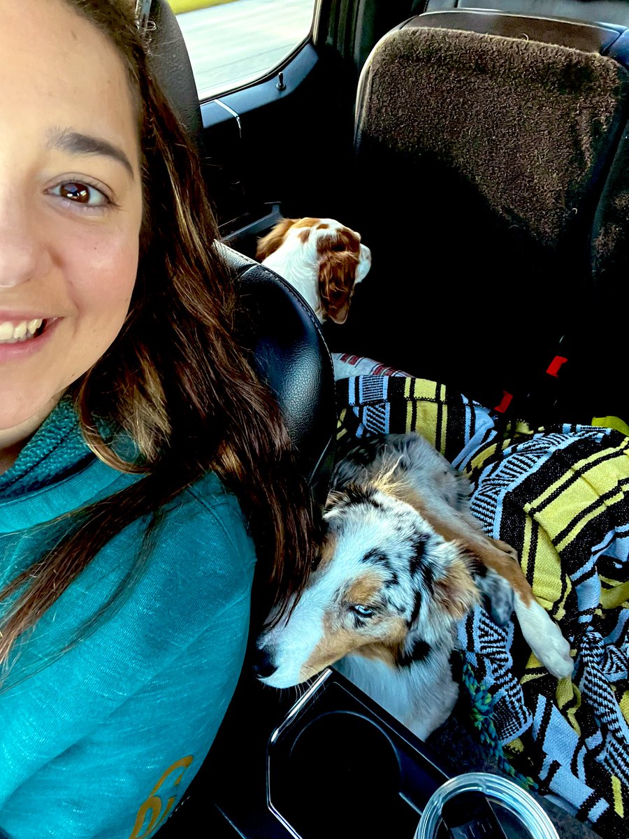 KaylaPrintz's tweet photo. My babies!!! Party mode activated 😝 VACA - Labor day weekend 😎 island time 🏝️ https://t.co/RdmhmuIwzz