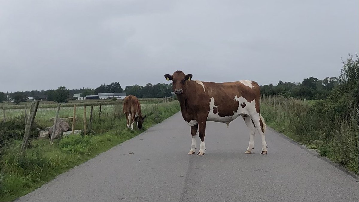 Fredagskänsla på östra Öland.