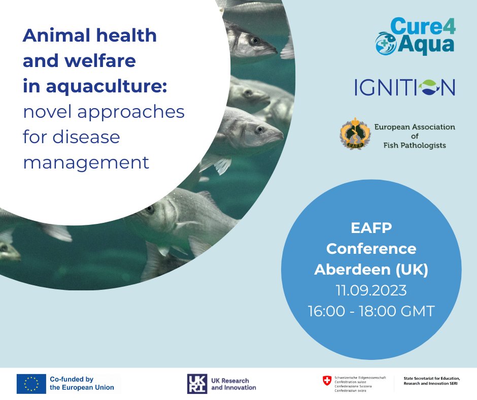 📢Don't miss the Cure4Aqua and @IGNITION__EU Project workshop on Animal Health and Welfare at the #EAFP2023 conference!   

 We are looking forward to sharing the most recent updates on #diseasemanagement!    

📅11 September 2023 
📍 Conference suite 4 
⌚16:00 - 18:00 GMT
