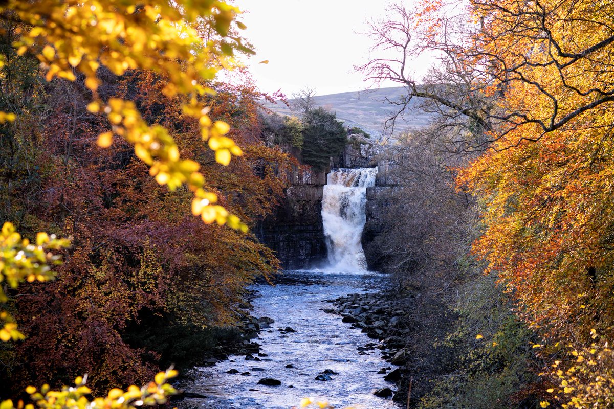 Raby County Durham tweet media