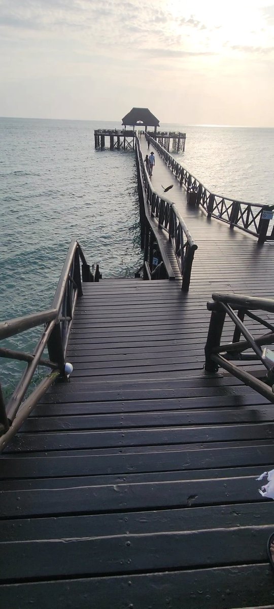 addyjohn13's tweet photo. #Breathe https://t.co/fcriZG8ZmT