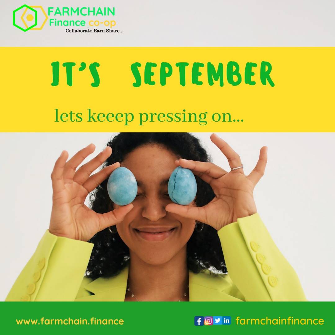 Farmchainfinanc's tweet photo. π³It's Another Beautiful Month π³π
Welcome to ποΈ September a month with great positive memories we always remember π―π₯ππ
#Farmchainfinance #NFTs #fintech #Savings #Credit @_CryptoBootcamp @OfficialSiban @CV_Labs @Wakandainu @Adanianlabs @rotacash https://t.co/8F2XxBDTyy
