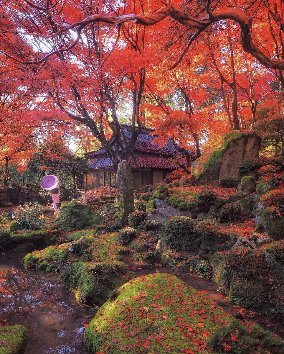 Shinga moss garden, Japan 🍂