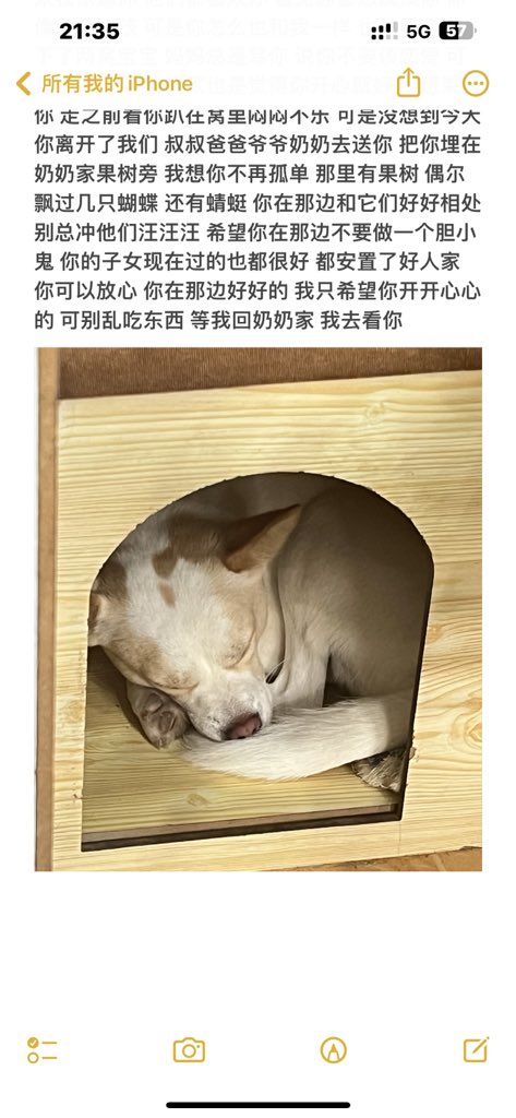 福利姬Coco甜心分享的黄推图片2 - 网红私拍内容