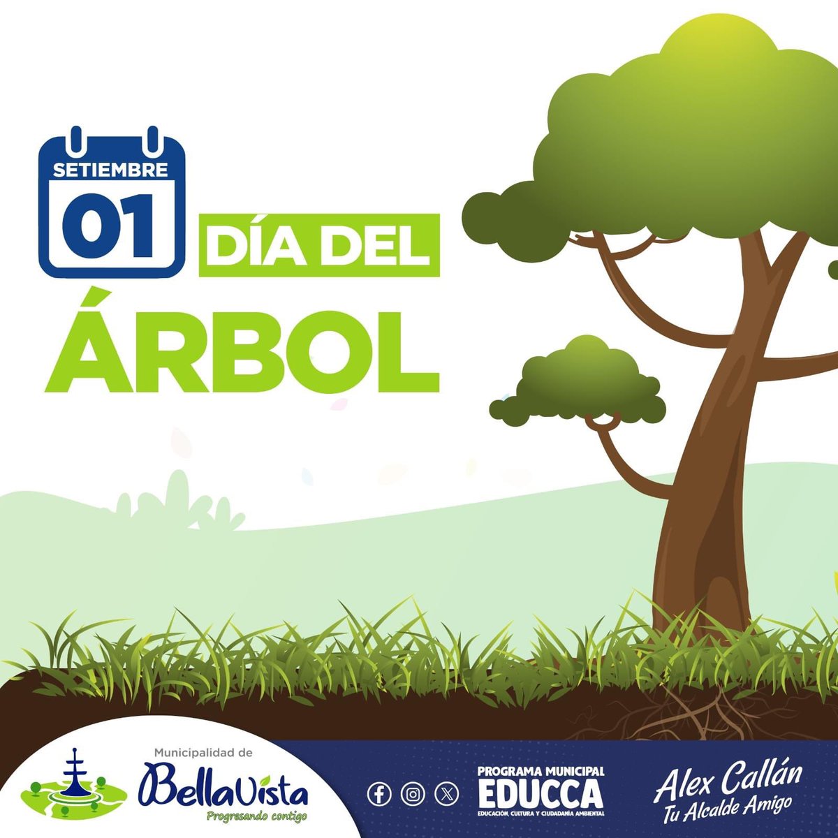 Muni_Bellavista's tweet photo. #ProgresandoContigo | Hoy, en el marco del #DíaDelÁrbol, invitamos a nuestros vecinos a cuidar la estética de cada uno, ya que aportan beneficios como humedecer el aire, brindar sombra, filtrar lluvias, mitigar el efecto invernadero, entre otros. https://t.co/ofeBbIuXup