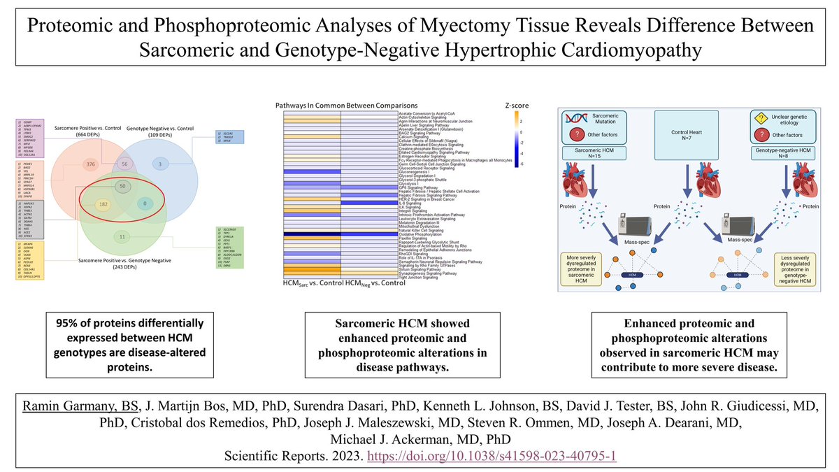 Excited to share our study in @SciReports demonstrating sarcomeric #HCM has more severe proteomic dysregulation as compared with genotype-negative #HCM. Grateful for the amazing mentorship from @MJAckermanMDPhD and the help from all the co-authors! nature.com/articles/s4159…