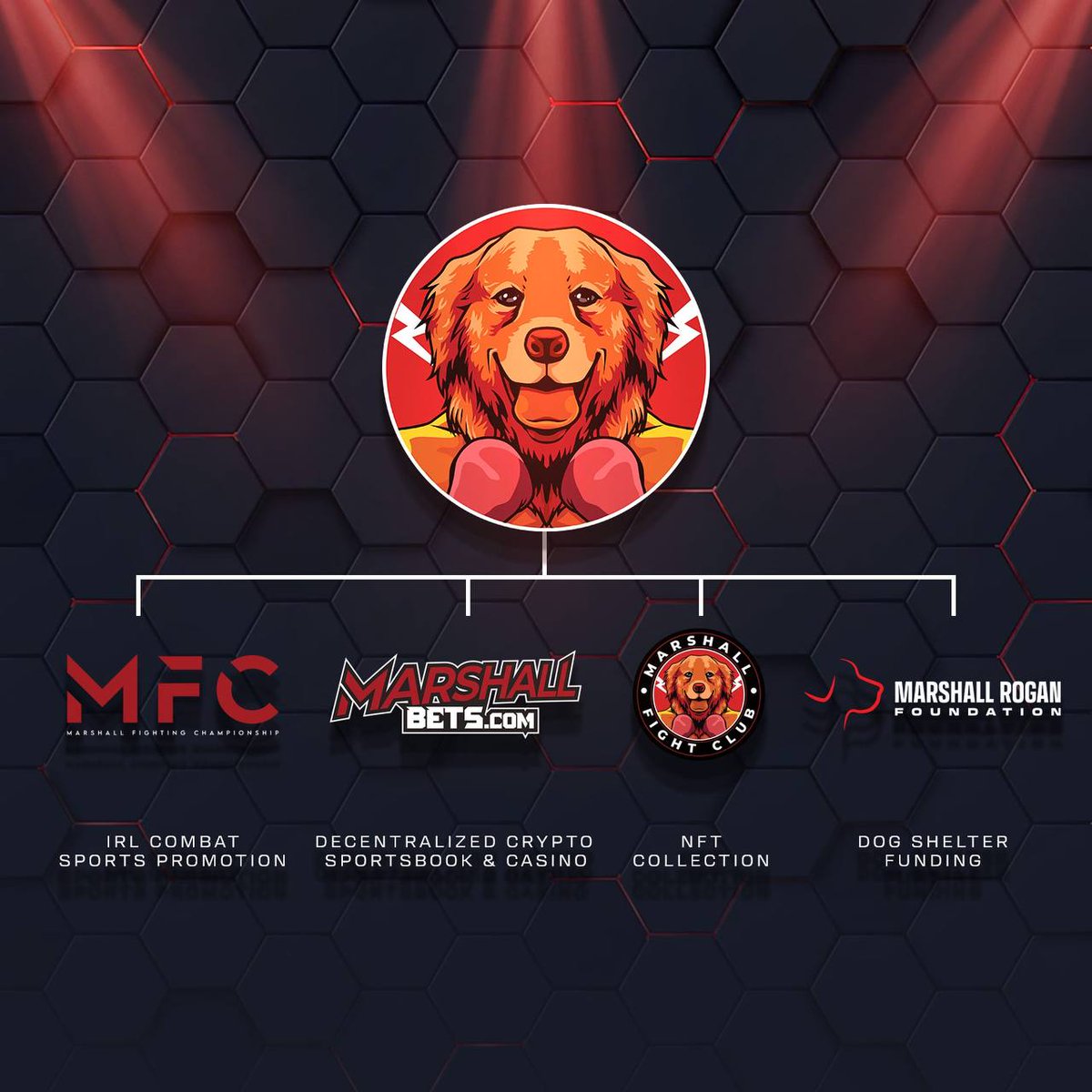 Cauazin0liveira's tweet photo. @LukaEvans_ Buy $MRI @MarshallInuETH
#MFC2 epic fight๐ฅ@WorldwideMFC
TAX 0% buy/sell
https://t.co/Pk7HSpVyuO Sportsbook
LP burned ๐ฅ๐ฅ
CA renounced forever
๐ฅ๐ฅ๐ฅ๐๐๐ ๐ https://t.co/phUDSITdnk