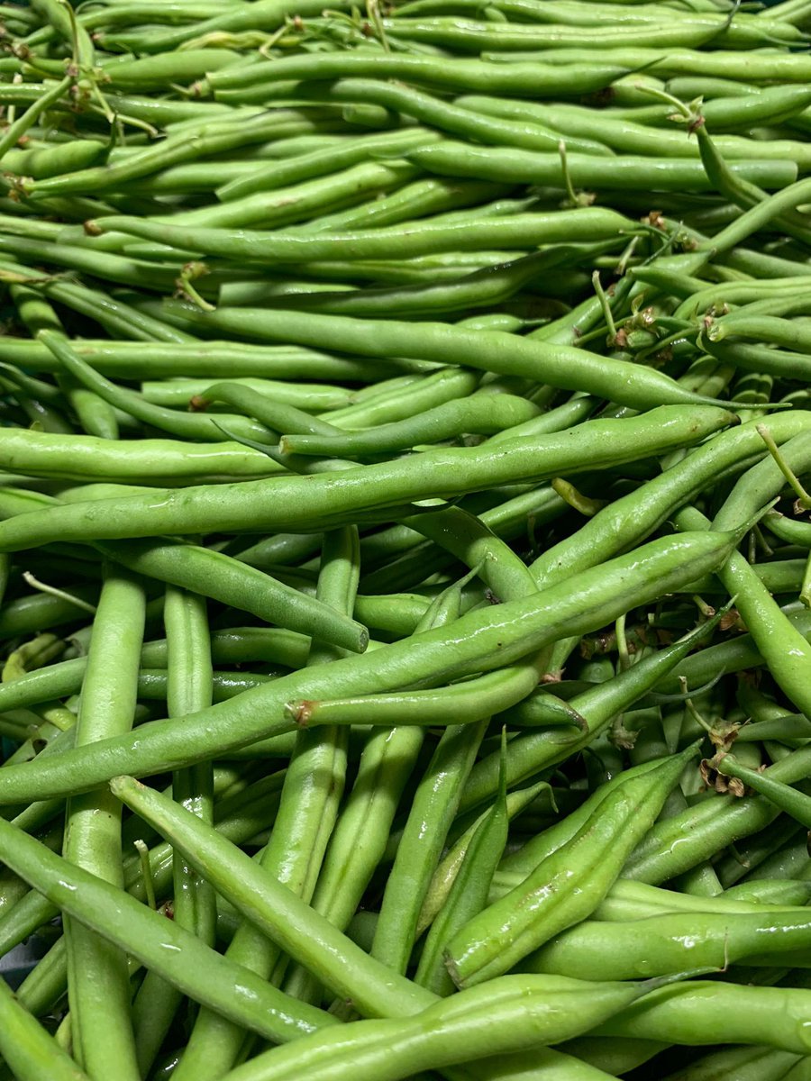 English bobby beans now in season.