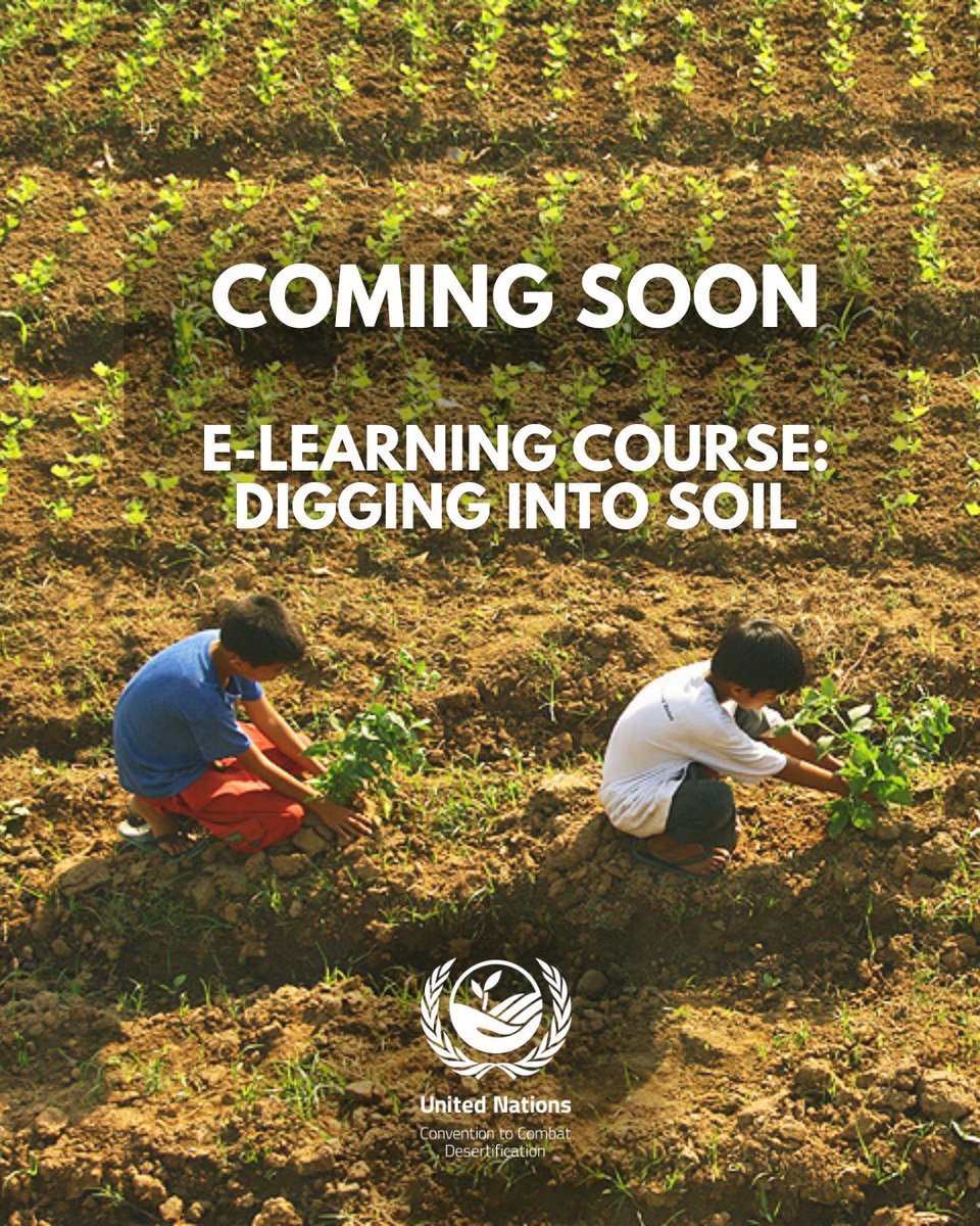 UNCCD Capacity Building Marketplace tweet media