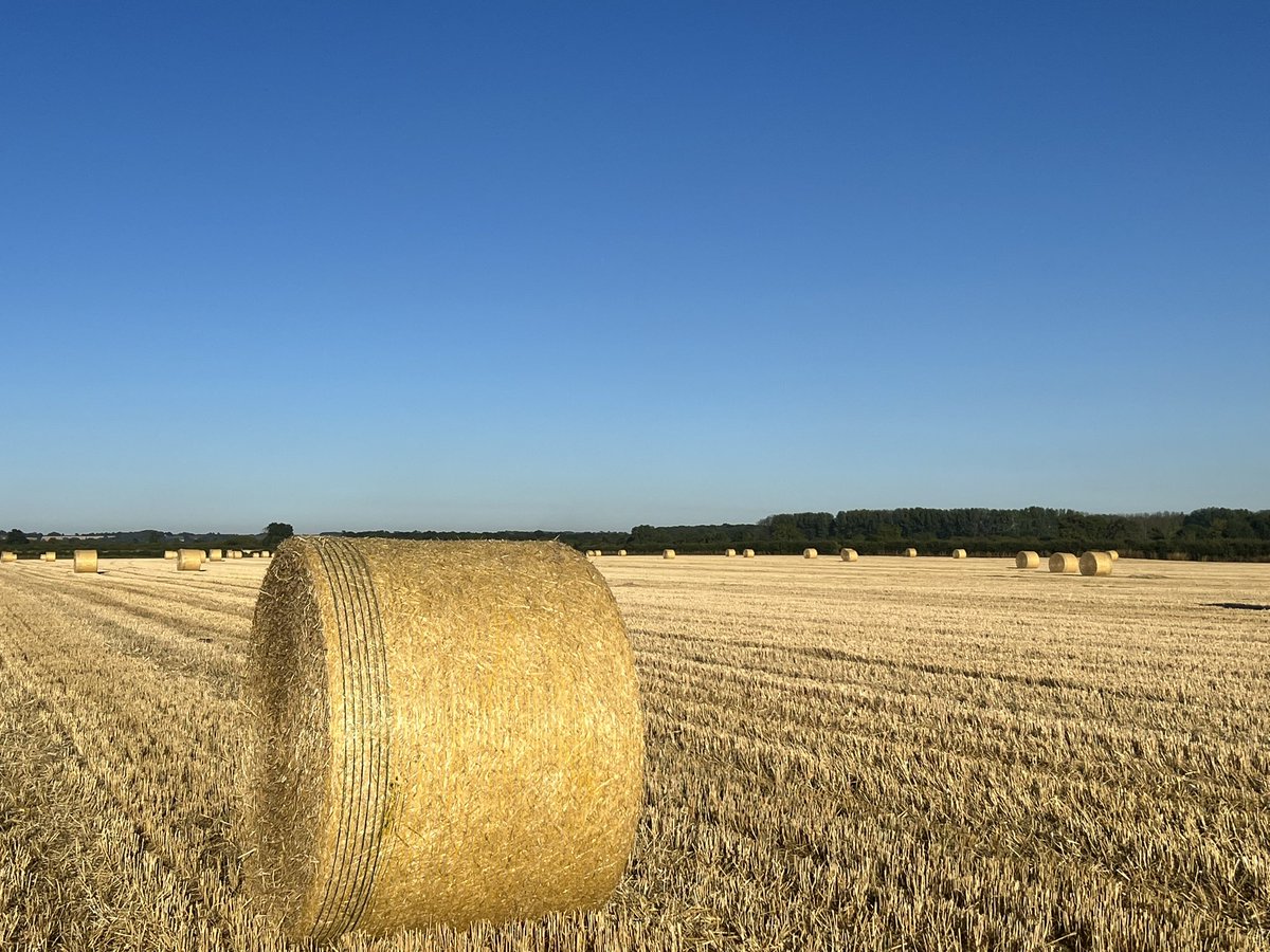 WCFAlumni's tweet photo. Guest passes for @WCFAlumni Learning Extension Days 2023 entitled "People - the ultimate driver for business success", surrounded by leaders of the future in UK agriculture, 28th & 29th November. Tickets from £125-£175. https://t.co/kYmmnf228h
#wcfaled23 #agpeople #agdevelopment https://t.co/O6UI8CVzR0