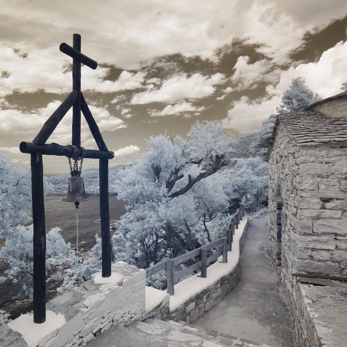 Philip Clemo tweet media