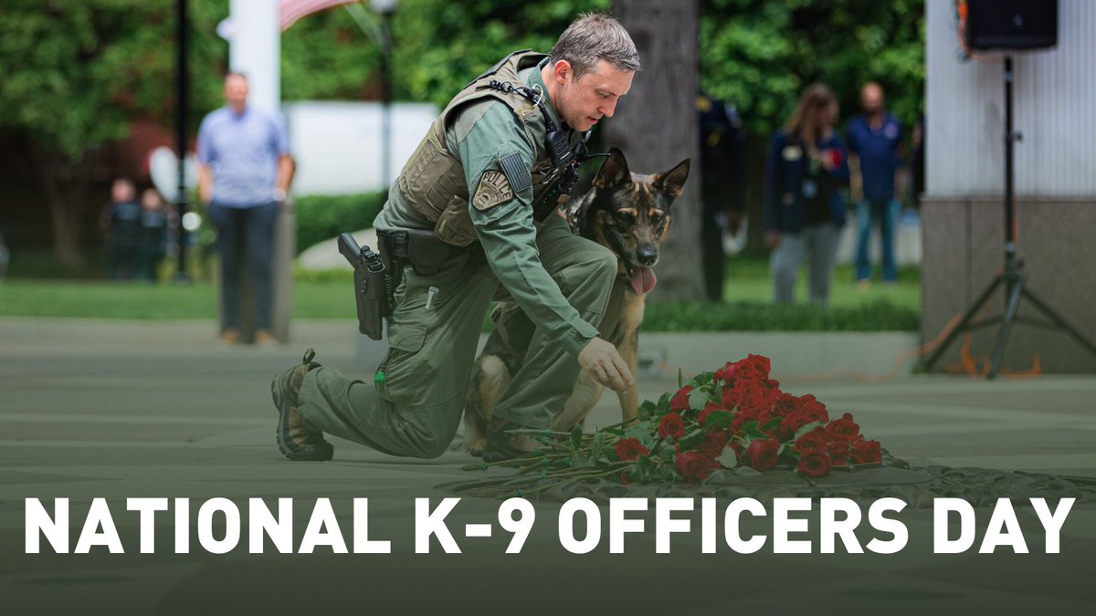 Happy #NationalPoliceK9Day! On Sept 1, we honor brave Police Dogs, remembering those who sacrificed their lives for our safety. Take a moment to give thanks to these noble heroes.