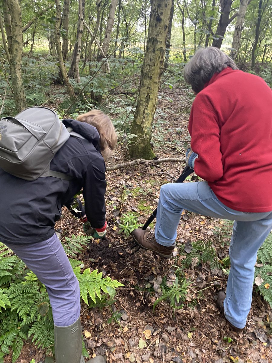 stujames64's tweet photo. Pulling up and clearing sycamore saplings with hand saws at Epworth Turbary on a @LincsWildlife volunteer work session. A proper physical work out! I believe this yellow beastie is the charmingly named Dog Vomit Slime Mould. Blimey. https://t.co/QWSAfN7r0W