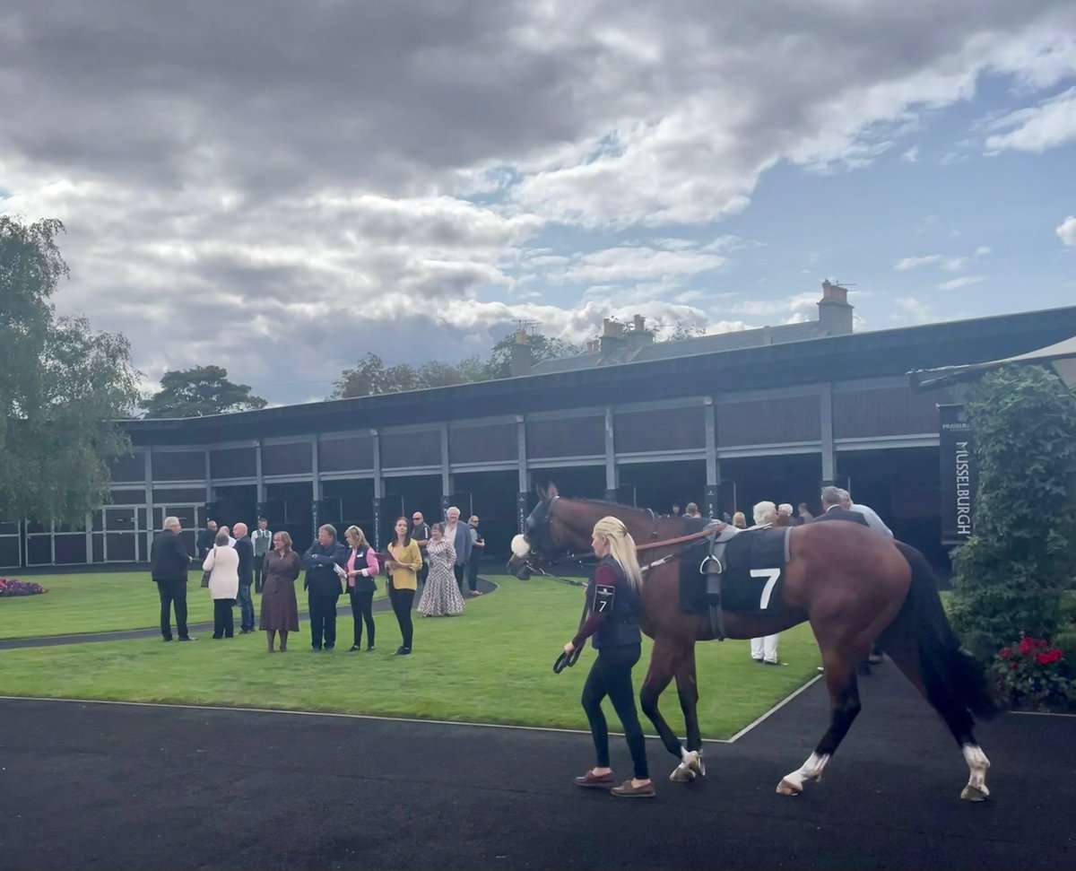 Yesterday Witherbys staff, clients and industry friends took some time off to enjoy a day at the MusselburghRaces.
 
A huge thanks to all who joined us for the day.