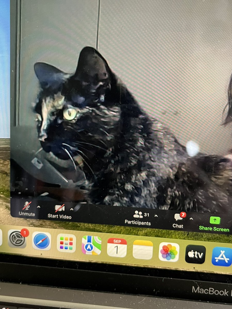 Dr Claire O'Callaghan (she/her) tweet media