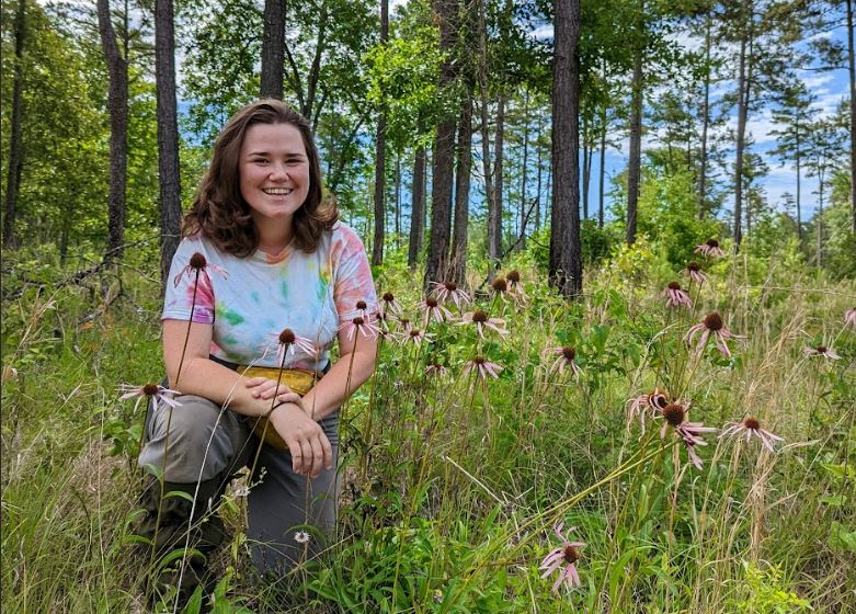 Congrats to GCA '23 #ConservationHorticulure Fellow Erin Eichenberger <a href="/egeichenberger/">Erin Eichenberger 🌱</a> at <a href="/NCStateAEC/">NC State Applied Ecology</a>! She is investigating population vital rates &amp; pollinators of the rare southeastern Echinacea laevigata to improve management recommendations.
Learn More: gcamerica.org/scholarships/d…