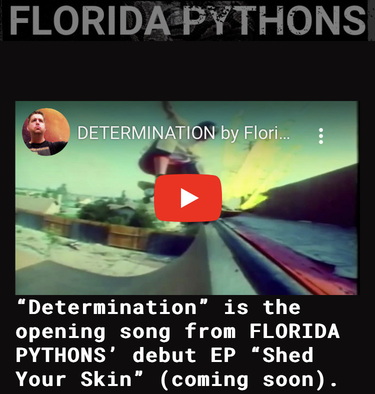 Introducing my new Florida Pythons! Our debut single "Determination" drops today. This high energy punk track will get your blood pumping! Watch the music video at floridapythons.net/determination-… and get ready to shed your skin with their new EP!