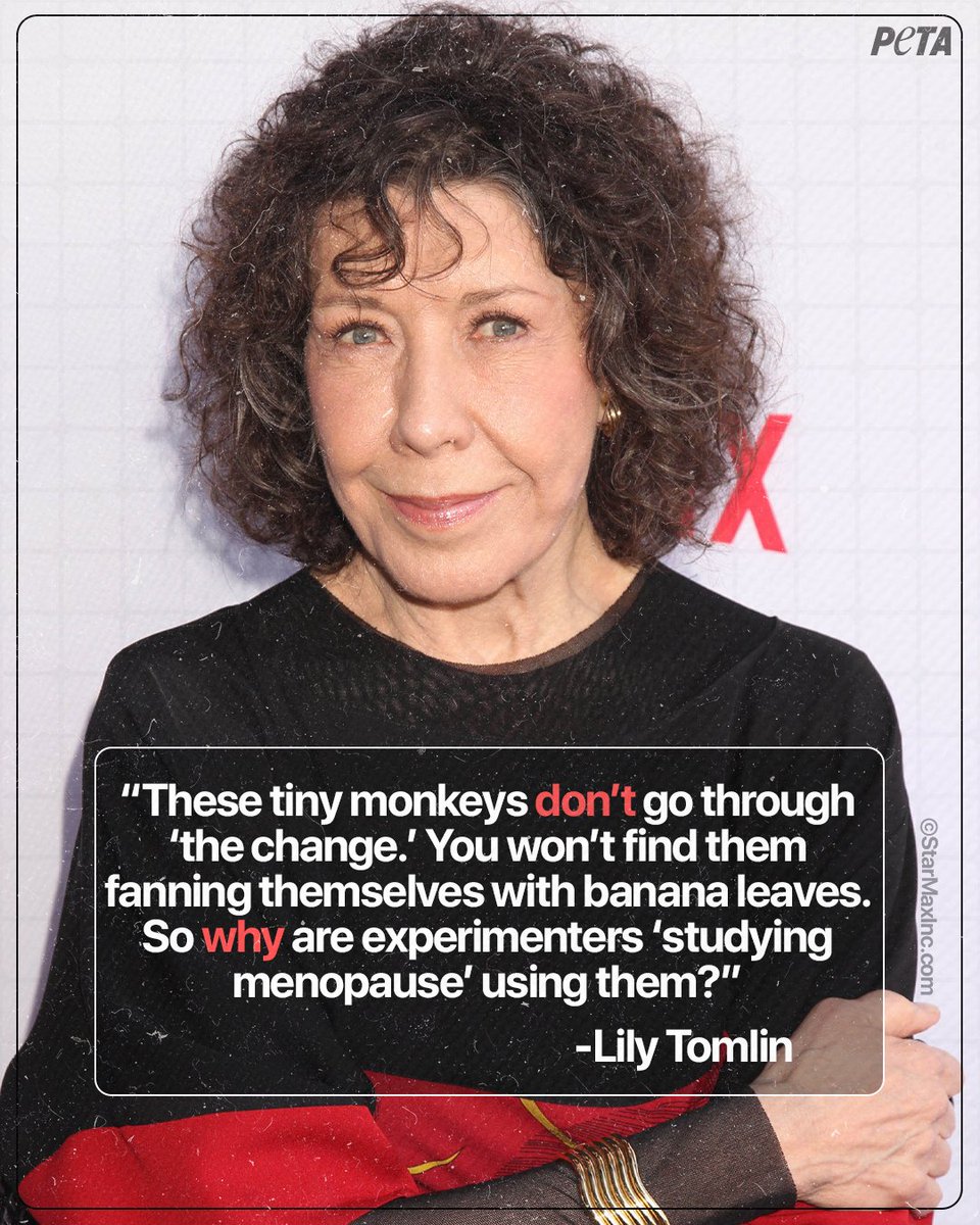 When this #GraceAndFrankie star & honorary PETA board member isn’t onscreen, she’s standing up for animals like marmoset monkeys cruelly used in @UMassAmherst experiments 👊
 
Happy birthday to the iconic @LilyTomlin ❤️🎂🎉