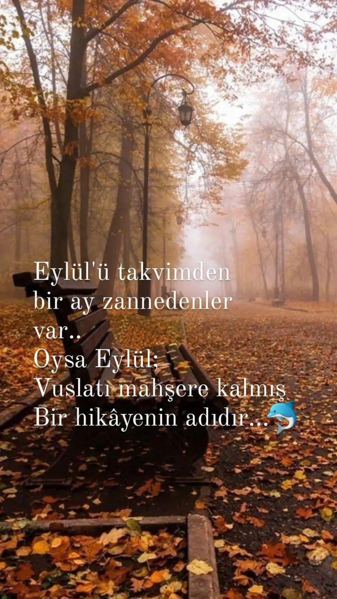 "Ve sonbahar.
Bizler için yılın dönümü. 
Yılın başı.
Yılın en güzel zamanı.
Eylül ne iyi etti de geldi."

Cem Adrian

#Eylül