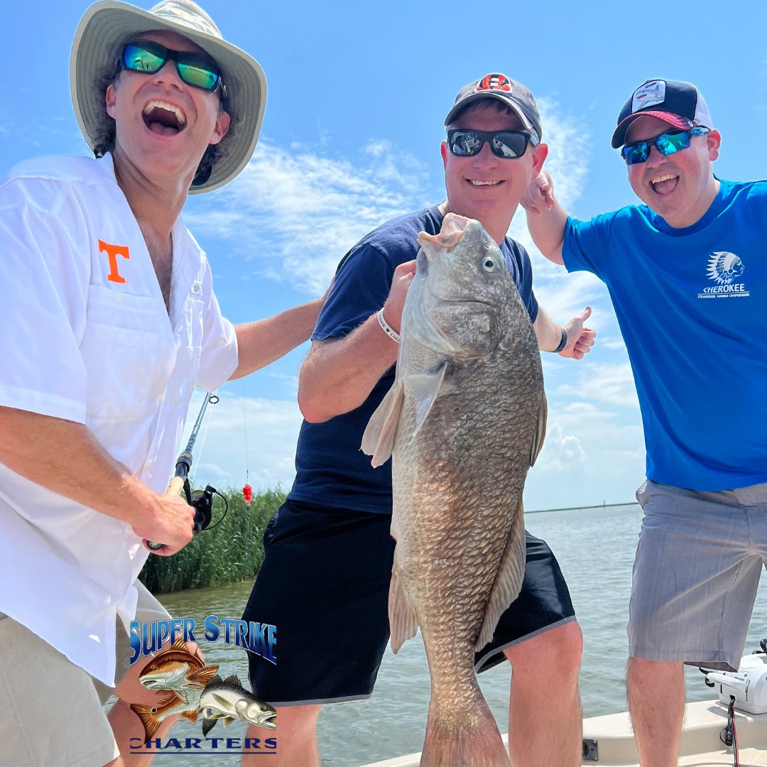 DPMSSC's tweet photo. Inshore fun today and some big catches to boot with the Algee crew from #Tennessee and Captain Chase!

#louisiana #bluewaveboats #fishing #superstrike #superstrikefishingcharter #redfish #inshore #inshorefishing #charter #bigfish #fishingtrip https://t.co/znW67vho9M