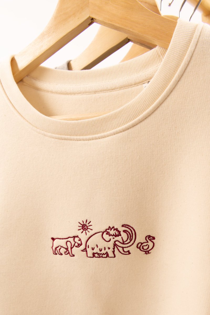 Big Wild Thought tweet media