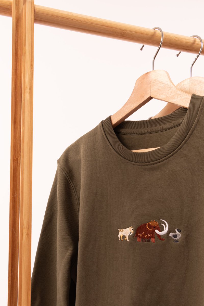 Big Wild Thought tweet media