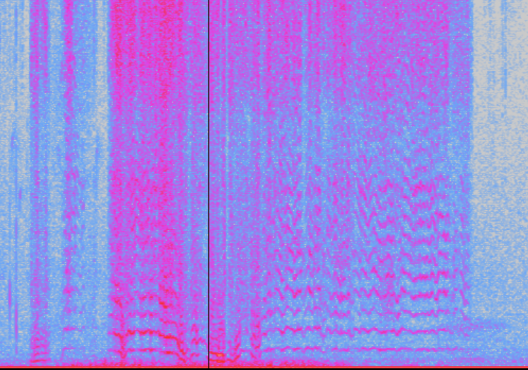 [📢Workshop alert: 09-10-11 Oct 2023] Pleased to announce that #EcoHacK (hands-on workshop on ecological sound recording analysis🔊) is back at <a href="/StirUni/">University of Stirling</a>. Please visit the link below to get more information &amp; register 🐝🦇🐦🐸🌊 Please RT github.com/JeremyFroideva…
