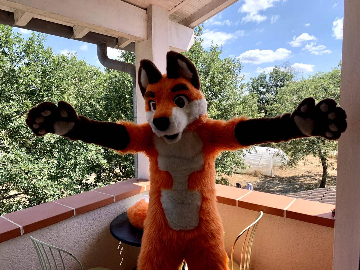 renald_theFox's tweet photo. Oh, mais on #FursuitsFriday ✨✨
Distribution de hug aujourd'hui !! https://t.co/QAJhWhK0Ix