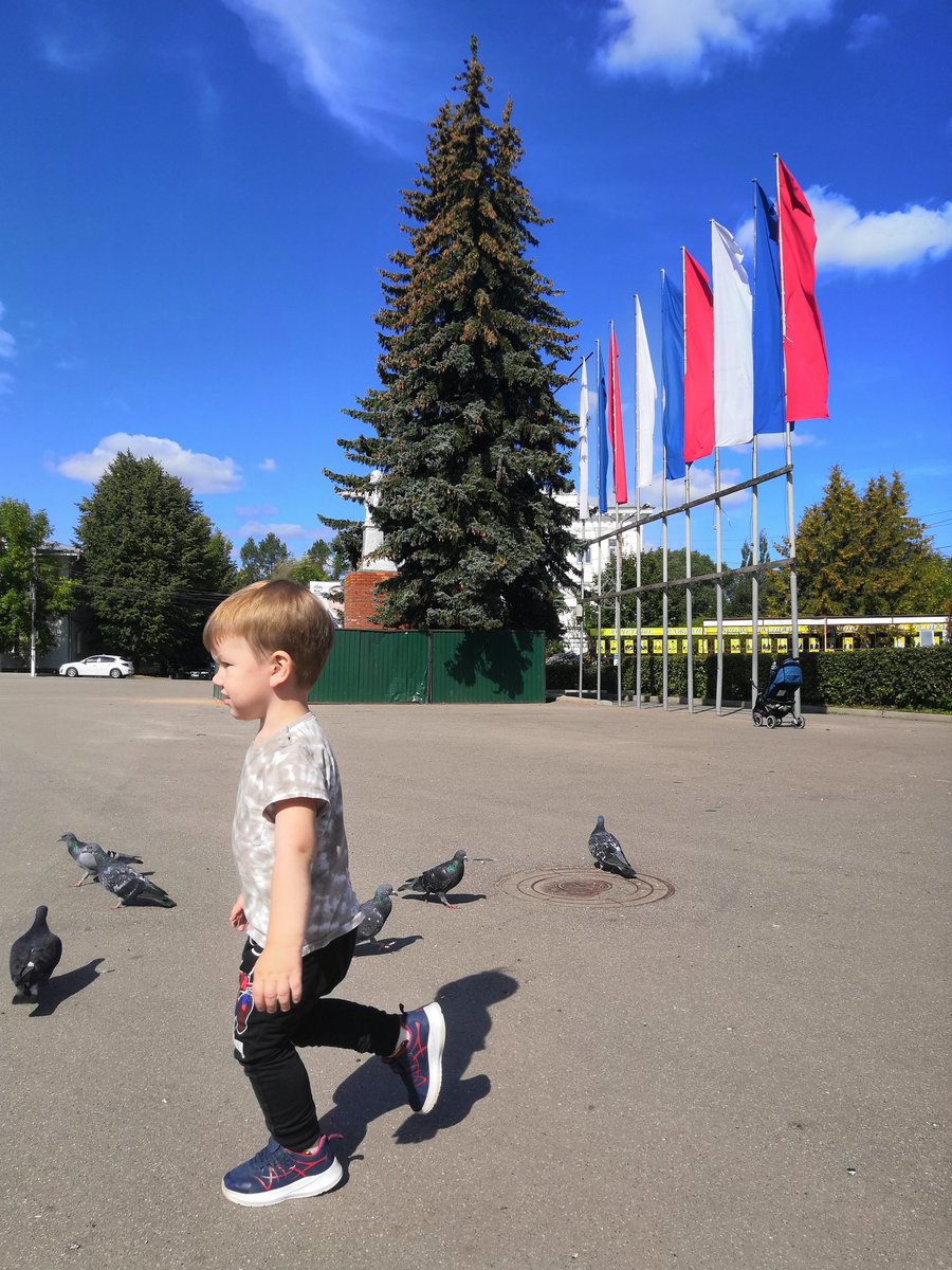 vankor2594's tweet photo. Дома❤️ #Родники #Летнийсад https://t.co/IdIApxsOv1