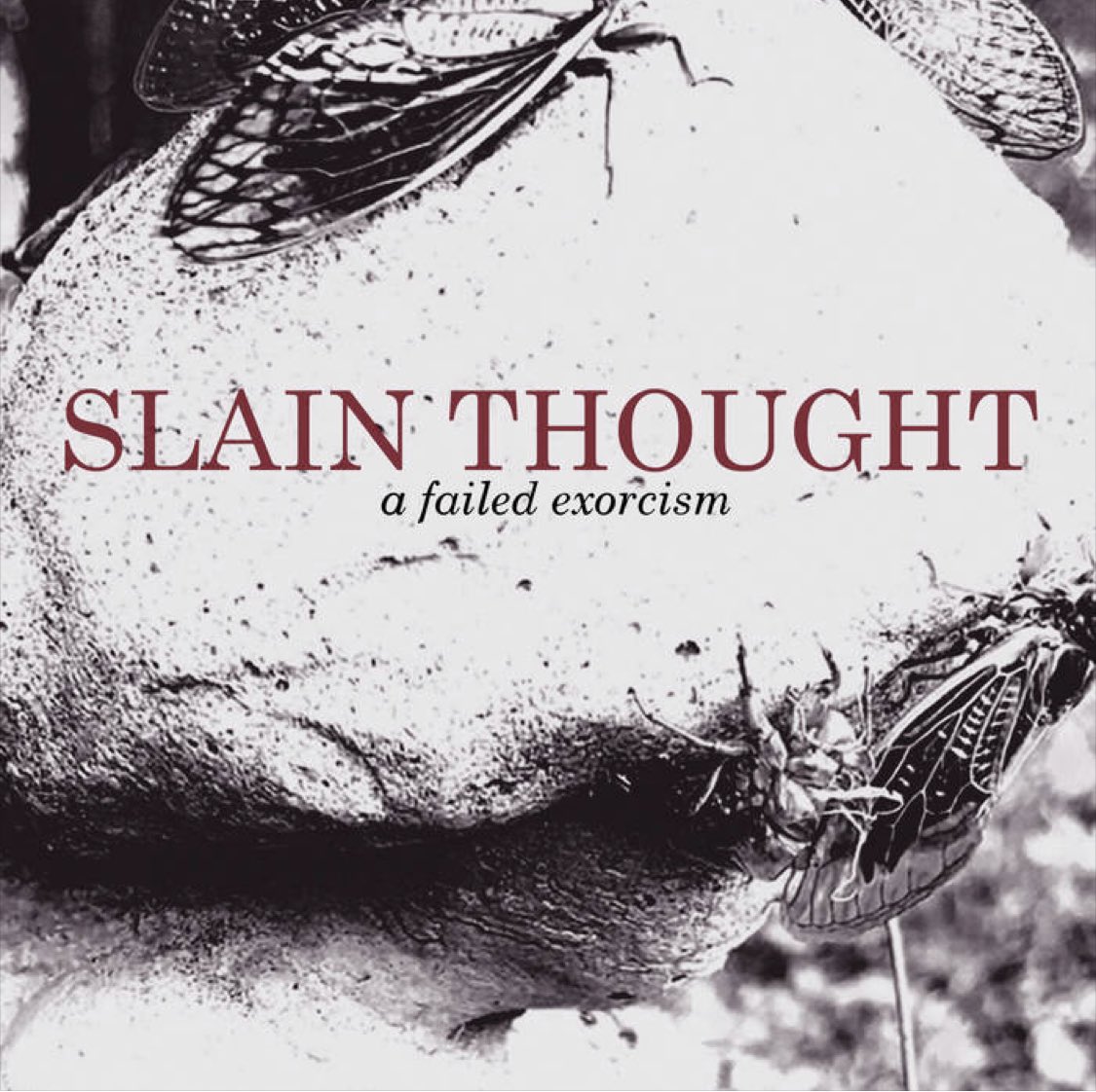 Some sick and ugly music for you all in the form of $3 EPs on this Bandcamp Friday! Tapes available too!

Acedia (2023) 
A Failed Exorcism (2022)

slainthought.bandcamp.com