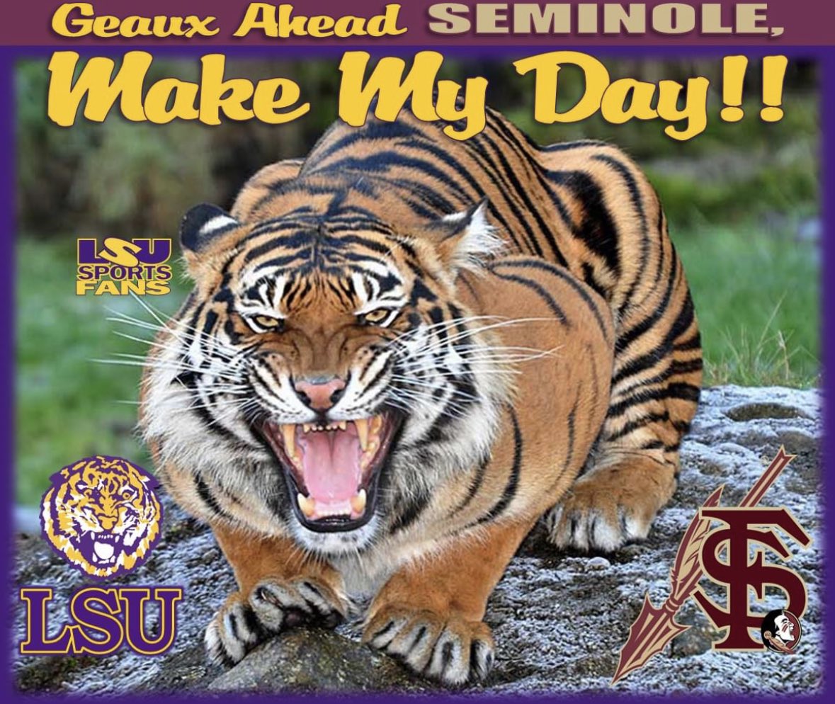 Paper Tiger Tailgate tweet media