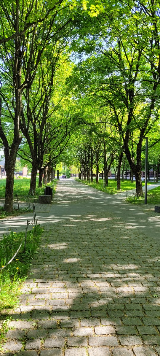 Felix Haass tweet media