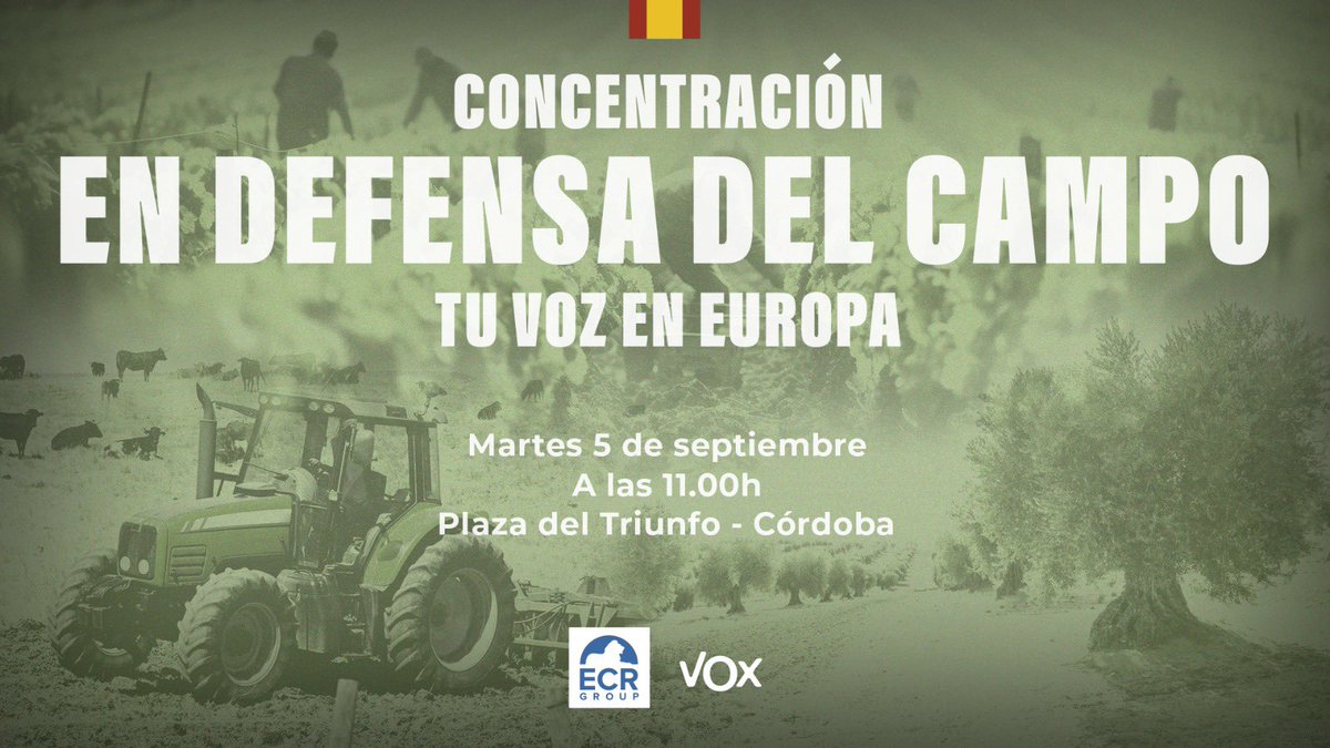 Jorge Buxadé tweet media